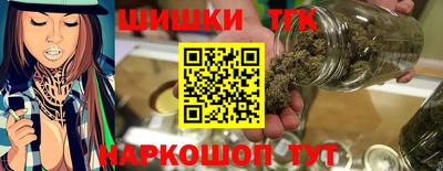 прущие грибы Усть-Джегута