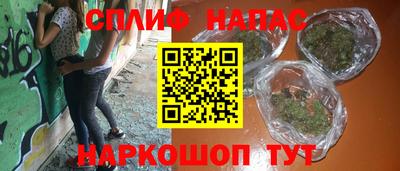 прущие грибы Усть-Джегута