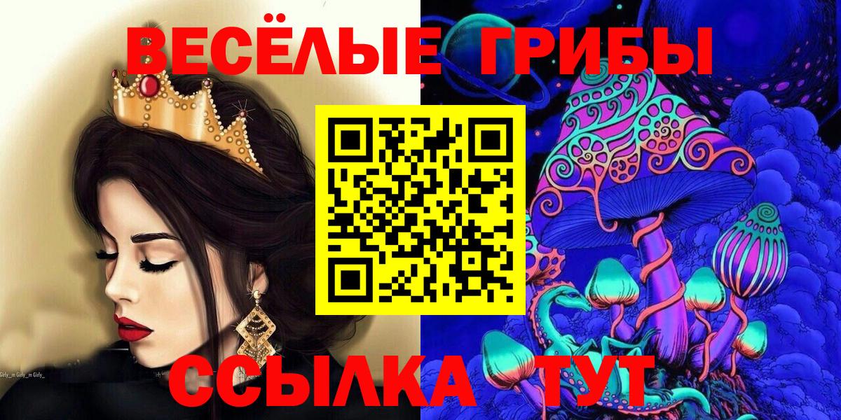 Псилоцибиновые грибы Cubensis Астрахань
